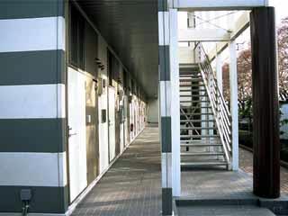 その他共有部分　廊下側写真