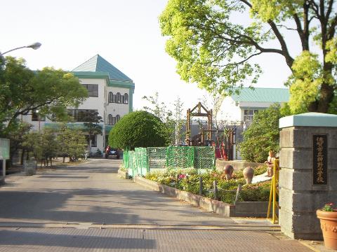 その他　佐賀市立神野小学校（その他）まで531m