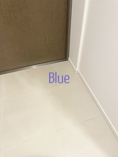 玄関　同仕様