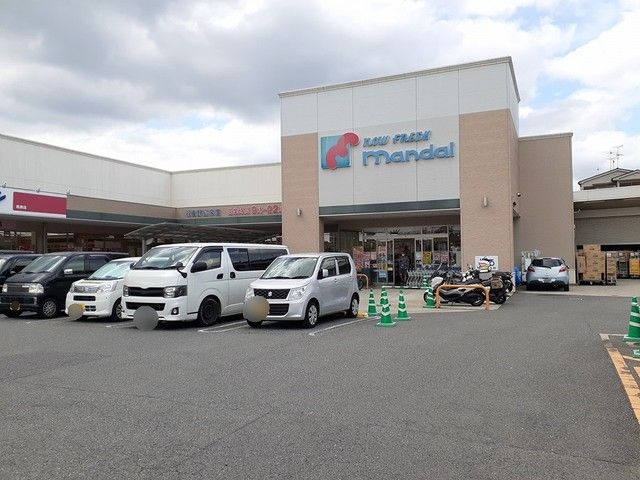スーパー　万代羽曳野島泉店様（スーパー）まで218m