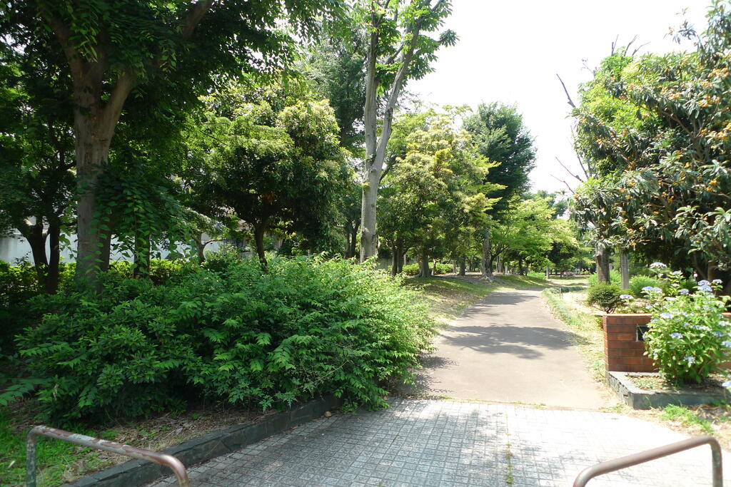 公園　和田堀公園（公園）まで5m