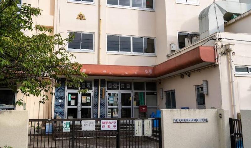 小学校　葛飾区立鎌倉小学校（小学校）まで240m