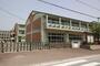 小学校　江陽小学校（小学校）まで557m