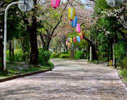 公園　南砂緑道公園（公園）まで873m
