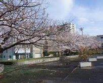 公園　東墨田公園（公園）まで318m