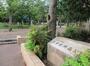 公園　東小松川南公園（公園）まで511m
