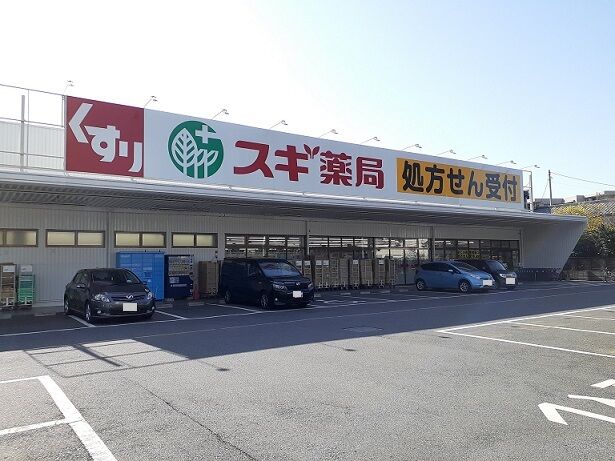 ドラックストア　スギ薬局大宮植竹店（ドラッグストア）まで1122m