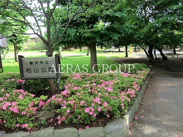 公園　柏山公園（公園）まで523m