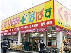 ドラックストア　どらっぐぱぱす赤塚新町店（ドラッグストア）まで543m
