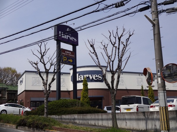 近鉄南大阪線 古市駅 徒歩16分 2階建 築2年の周辺写真
