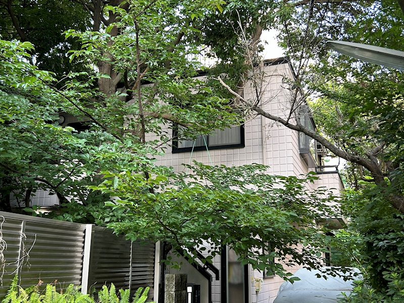 建物外観　緑あふれる建物