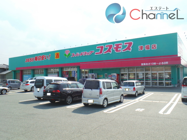 【ドミールパーク江崎のドラックストア】