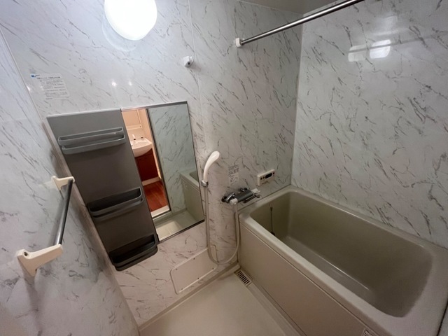 バス・シャワールーム　※同タイプの部屋写真です