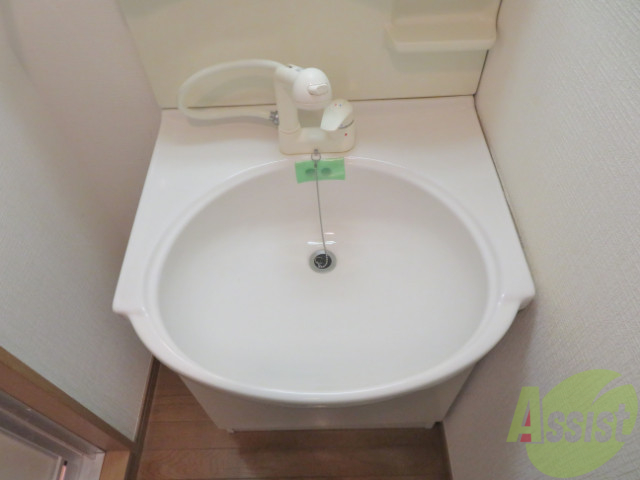 洗面設備　シャワー付きなので髪の毛のセットここで出来ます。