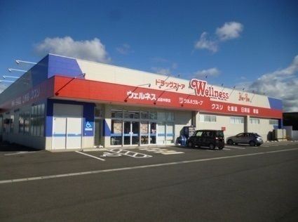 ドラックストア　ウェルネス中野店（ドラッグストア）まで1100m