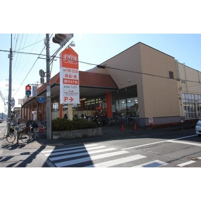 スーパー　ザ・ビッグ静岡城北店（スーパー）まで500m