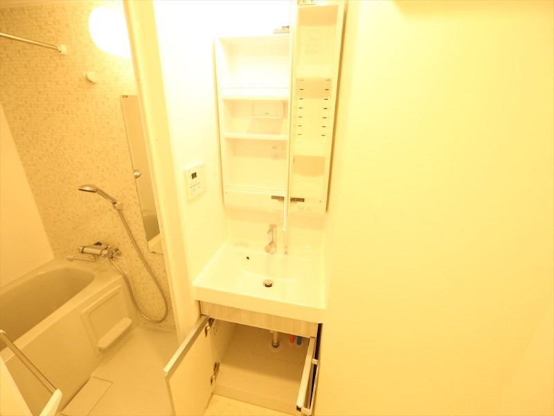 洗面設備　脱衣所　独立洗面台（シャンプードレッサー付）収納スペース有