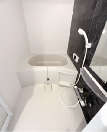 バス・シャワールーム　※同仕様写真含む