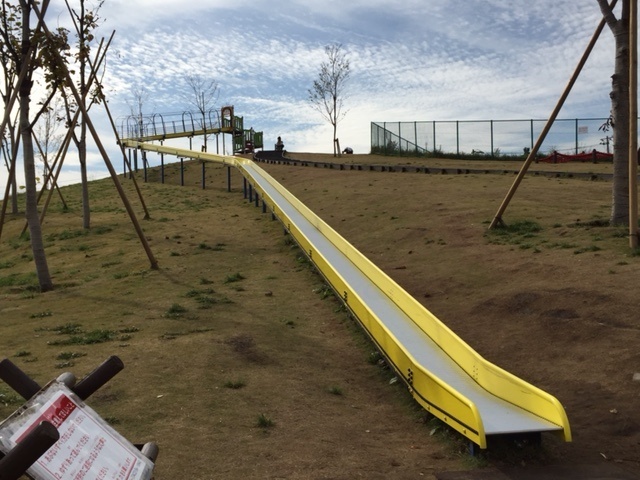 公園　東京都立東伏見公園（公園）まで1007m