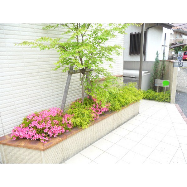 エントランス　季節感のある植栽