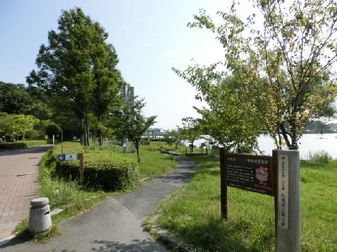 公園　佐鳴湖公園（公園）まで310m