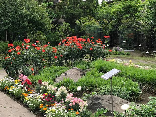 公園　ねむの木の庭（公園）まで682m