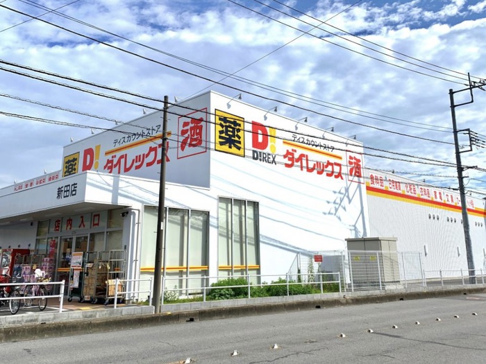 その他　ダイレックス新田店（その他）まで600m