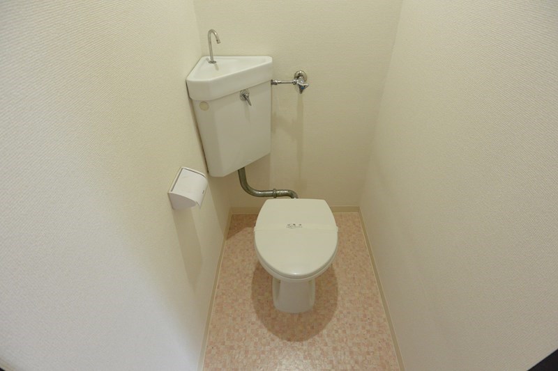 志智マンションのトイレ写真