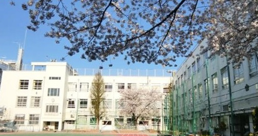 小学校　新宿区立江戸川小学校（小学校）まで786m