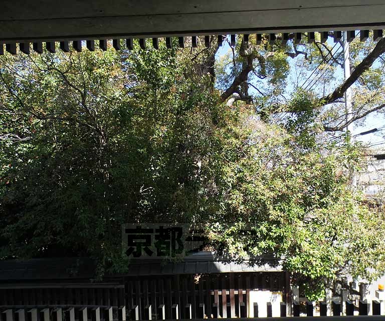 眺望　・２０１号室からの眺望です