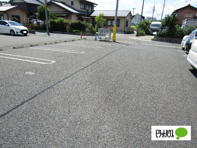 grandis masudaのその他写真