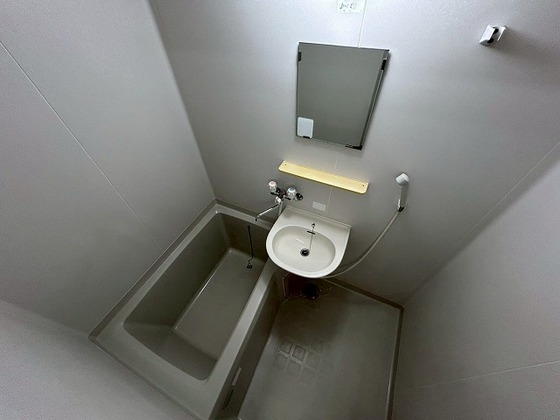 バス・シャワールーム　※別部屋の写真です