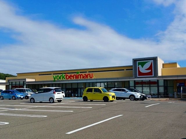 スーパー　ヨークベニマル泉野村店（スーパー）まで550m