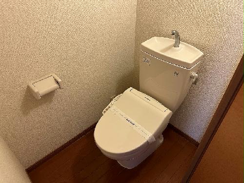 トイレ　シューズボックス