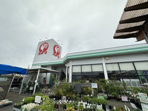 ホームセンター　コメリ北川辺店（ホームセンター）まで2327m