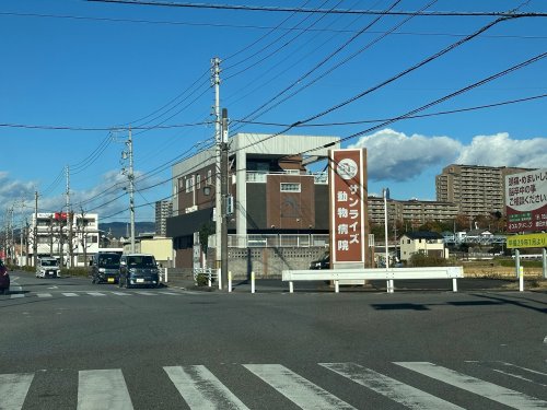 病院　サンライズ動物病院（病院）まで3148m