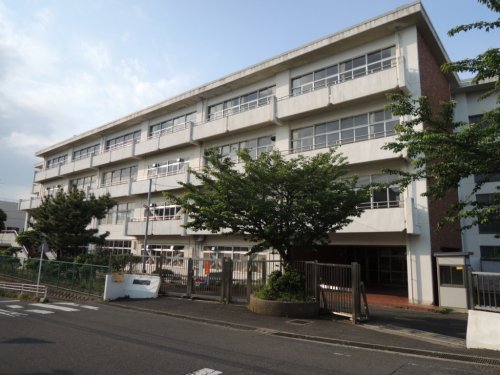 小学校　鎌倉市立富士塚小学校（小学校）まで542m