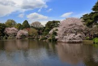 公園　新宿御苑（公園）まで612m