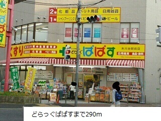 ドラックストア　どらっぐぱぱす（ドラッグストア）まで290m