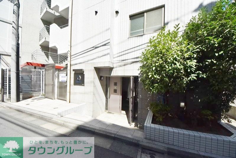 庭