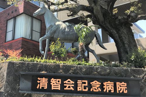 病院　清智会記念病院（病院）まで487m