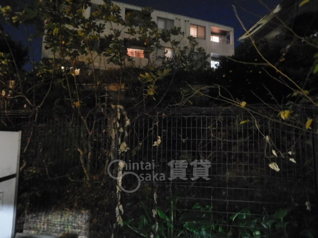 SOUTHのその他写真