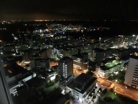 【ザ・タワー横須賀中央の眺望】