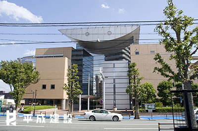 【コルディエラの図書館】