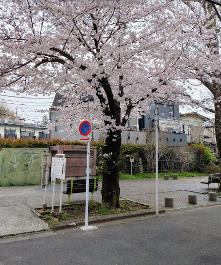 【スカイコートヴァンテアン桜上水の公園】