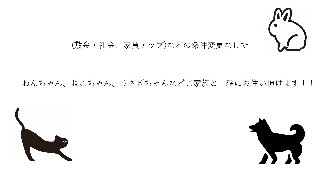 【ilusion朝倉街道のその他】