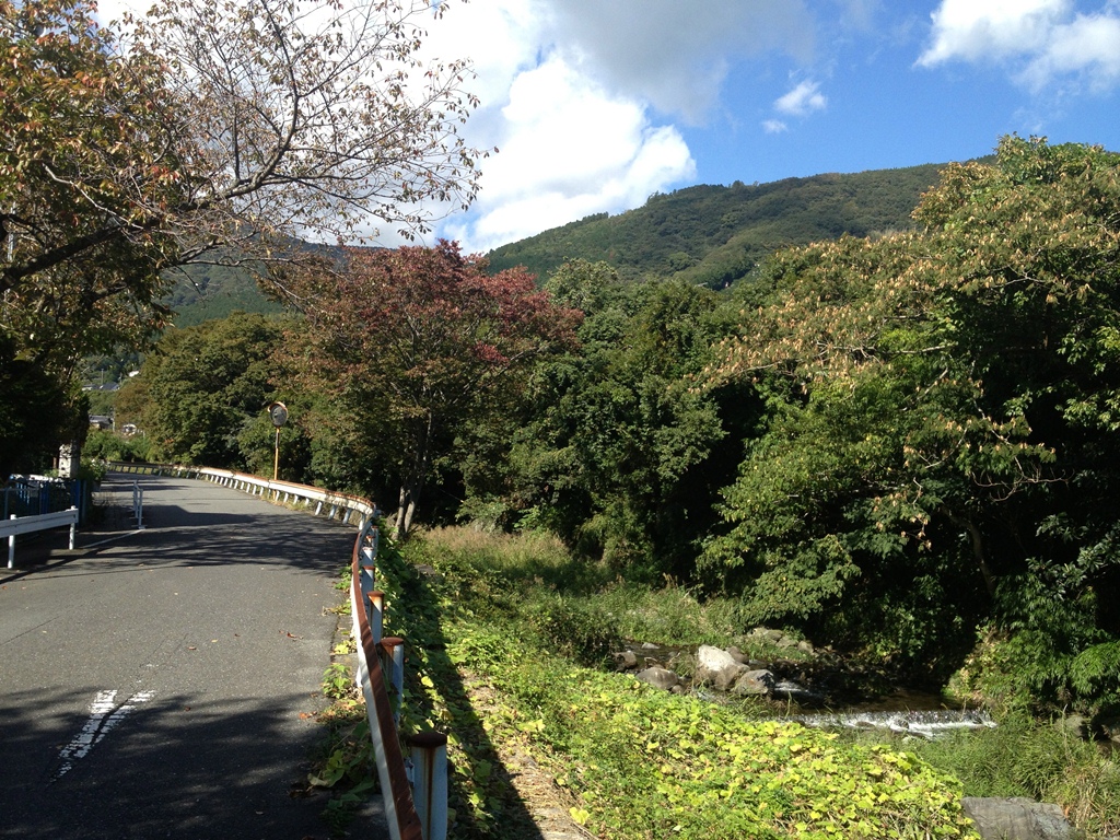 その他　新崎川（その他）まで50m