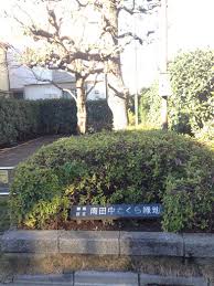 公園　南田中さくら緑地（公園）まで610m