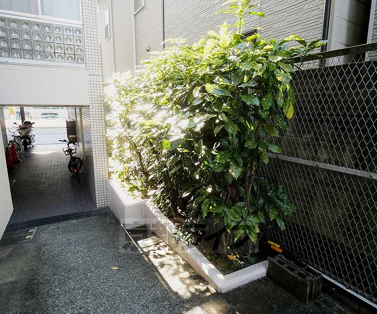 庭