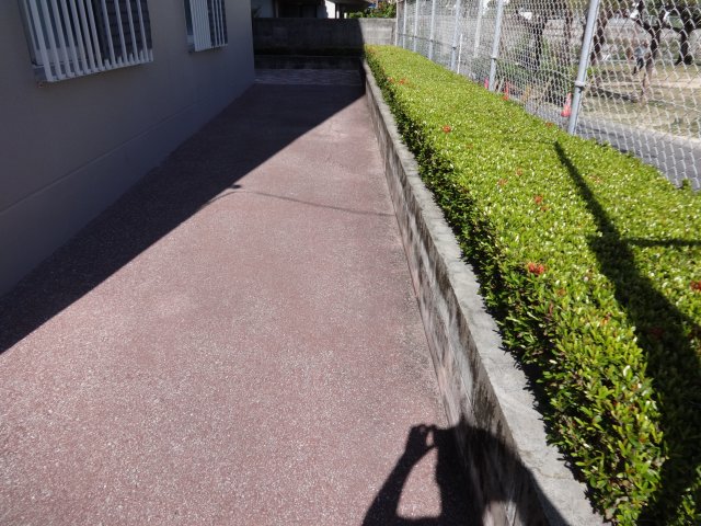 庭